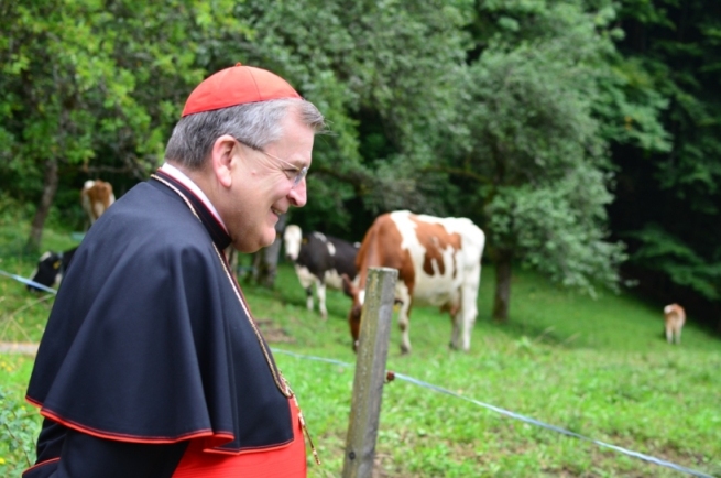 The Badger Catholic: Photos: The Cardinal in Switzerland
